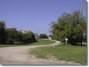orchard on Peach Ridge Ave.